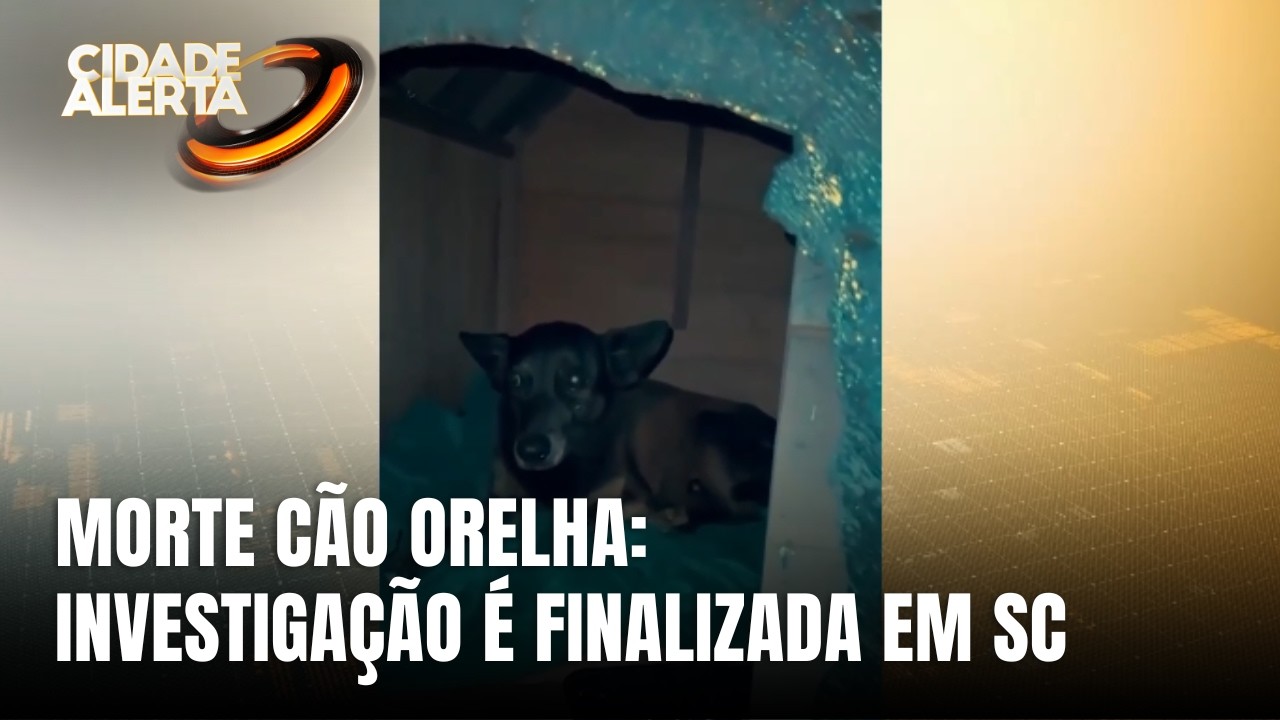 Caso cão Orelha: força-tarefa conclui apuração após solicitações do MP em SC