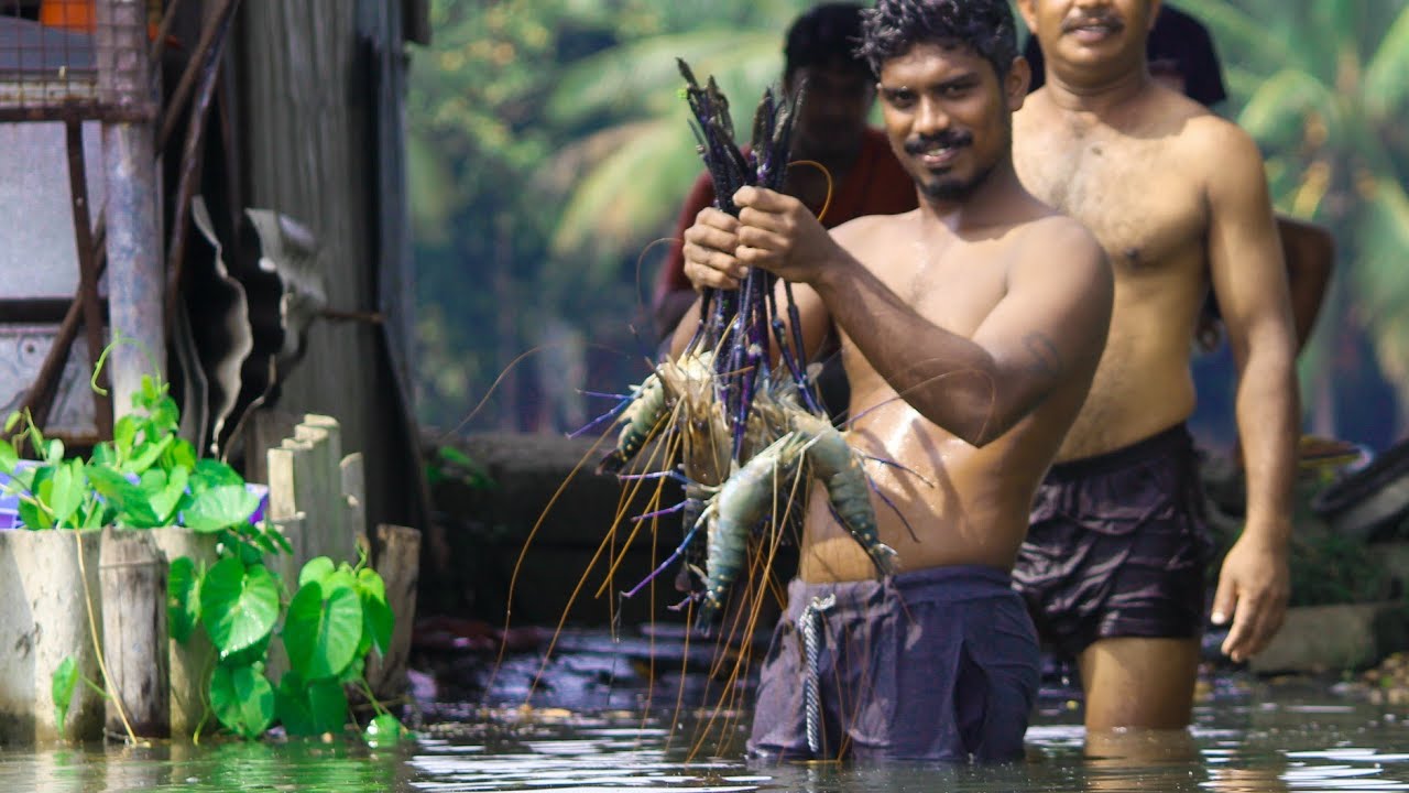 ഇത്രയും സിംപിൾ ആണോ വലിയ കൊഞ്ചിനെ പിടിക്കാൻ | Natural Fishing Trap Lobster Pearl Spot Fishing Kerala
