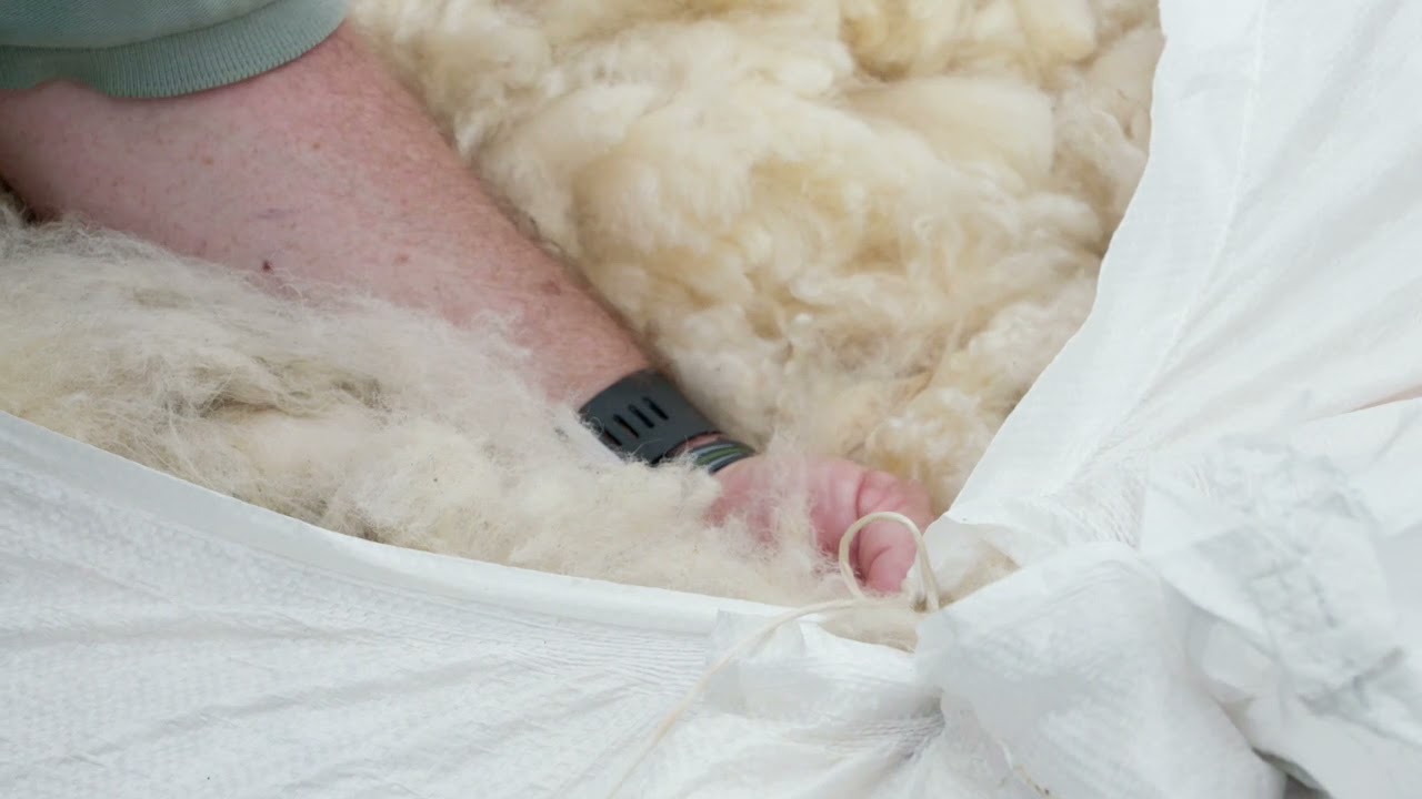 Living Land 2021 - The British Wool Story