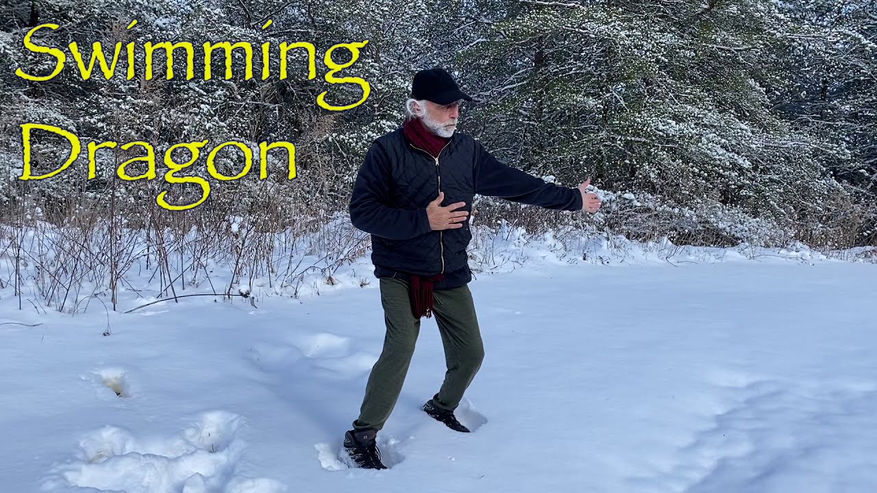 Winter Yin Qigong with Francesco Garri Garripoli