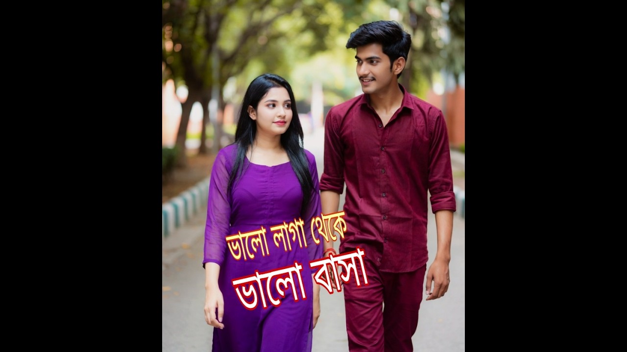 ভালো লাগা থেকে ভালো বাসা