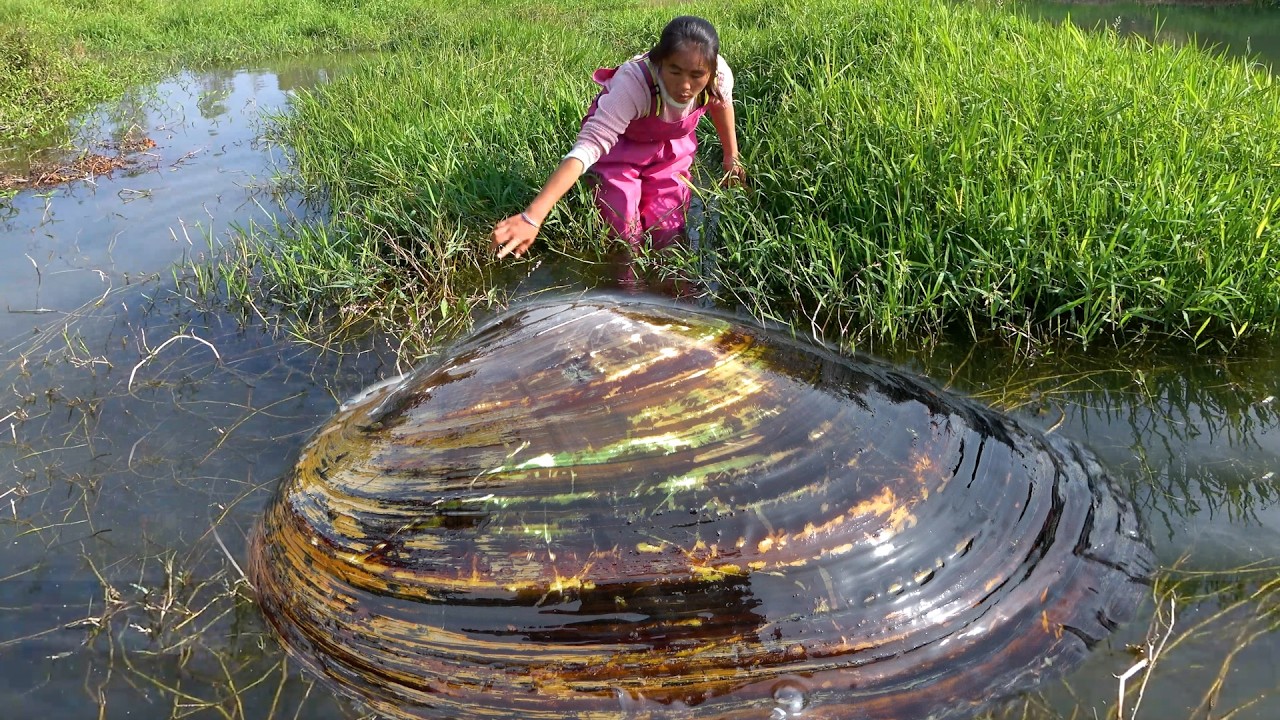 Places with abundant water and grass are indeed hiding places for river clams