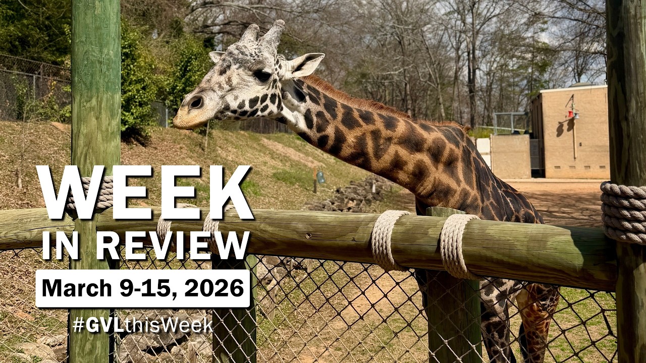 #GVLThisWeek: 8-14 марта 2026 г.