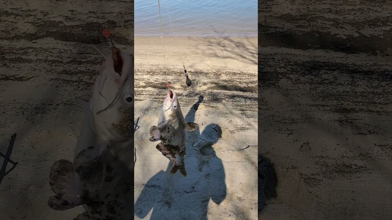 Chapel Point Park fishing trip!