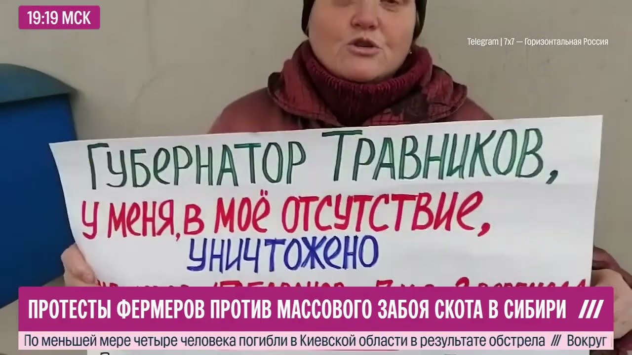 Новости о уничтожении коров и др животных в Новосибирской области. Мнение специалиста