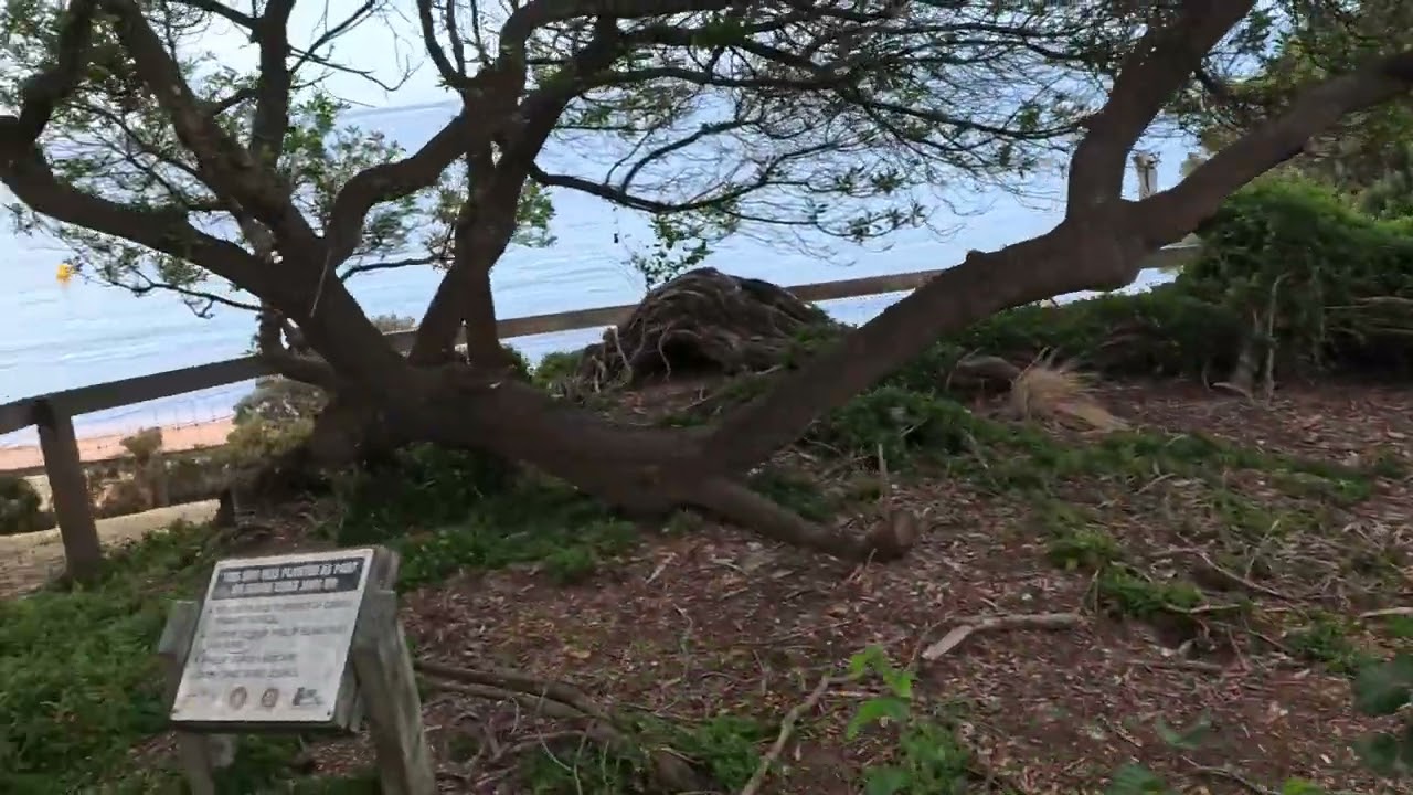 菲利普島(Phillip Island) Cowes Beach一帶街景 2026.01.30 163032 205