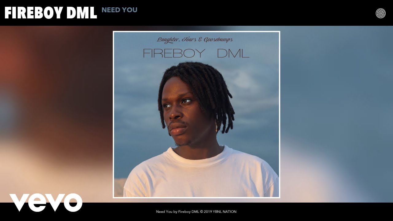 Fireboy DML - Need You (Audio)