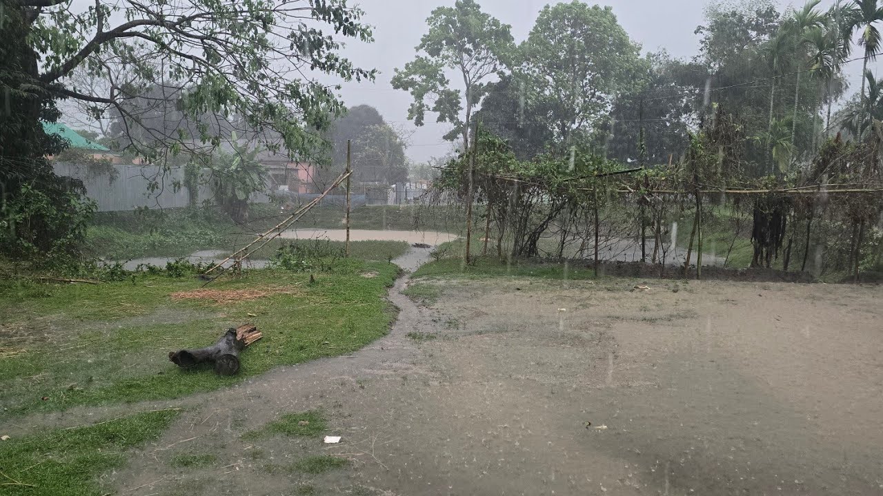 আলহামদুলিল্লাহ বছরের প্রথম বৃষ্টি