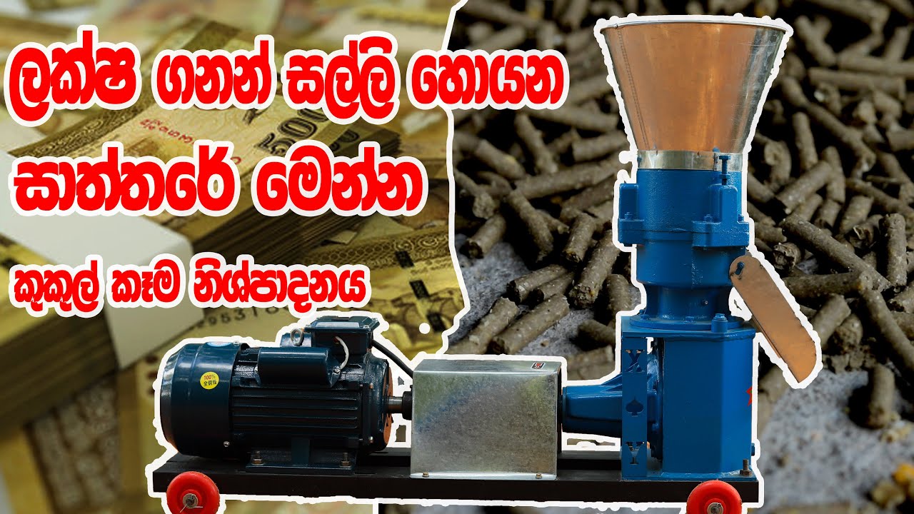 ලක්ෂ ගනන් මුදල් උපයන්න පුලුවන් කුකුල් කෑම නිශ්පාදනය කරන බිස්නස් එකක් අලුතෙන් පටන් ගමු