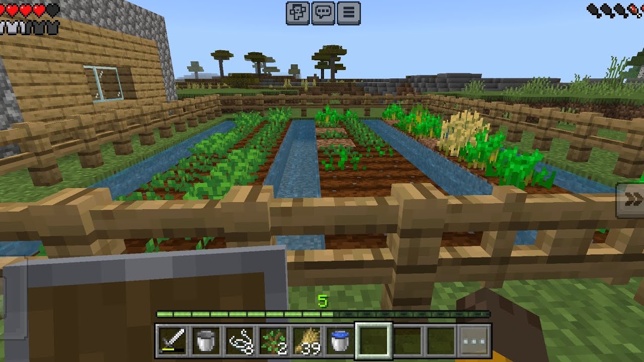 I make my farm in Minecraft 