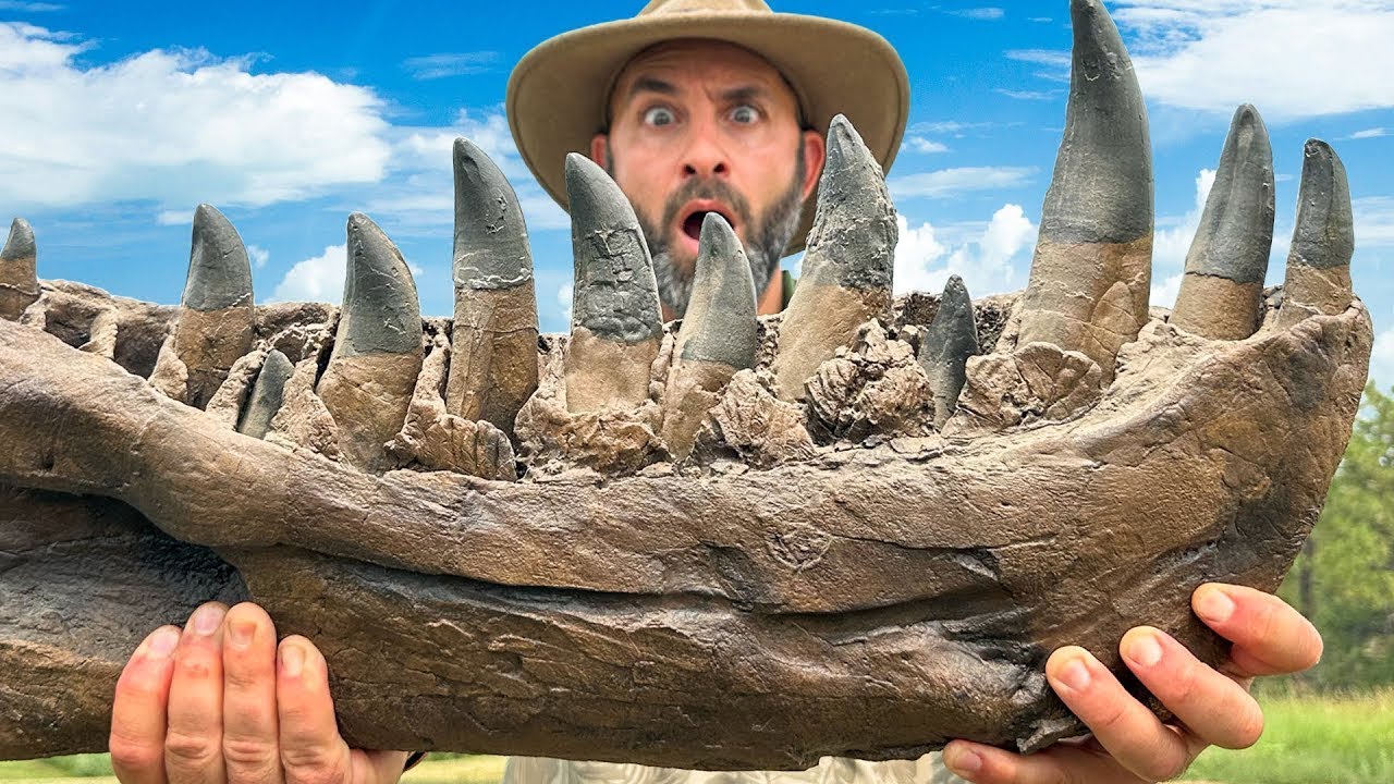 Săpături la Hellcreek Hooligans: Dinți de T-Rex și descoperiri incredibile! 🦕 Brave Wilderness