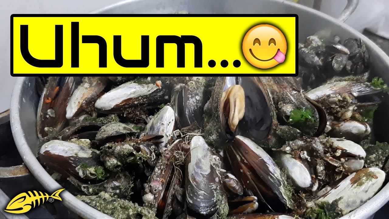 COMO COZINHAR MARISCO - DICAS DE PESCA #52