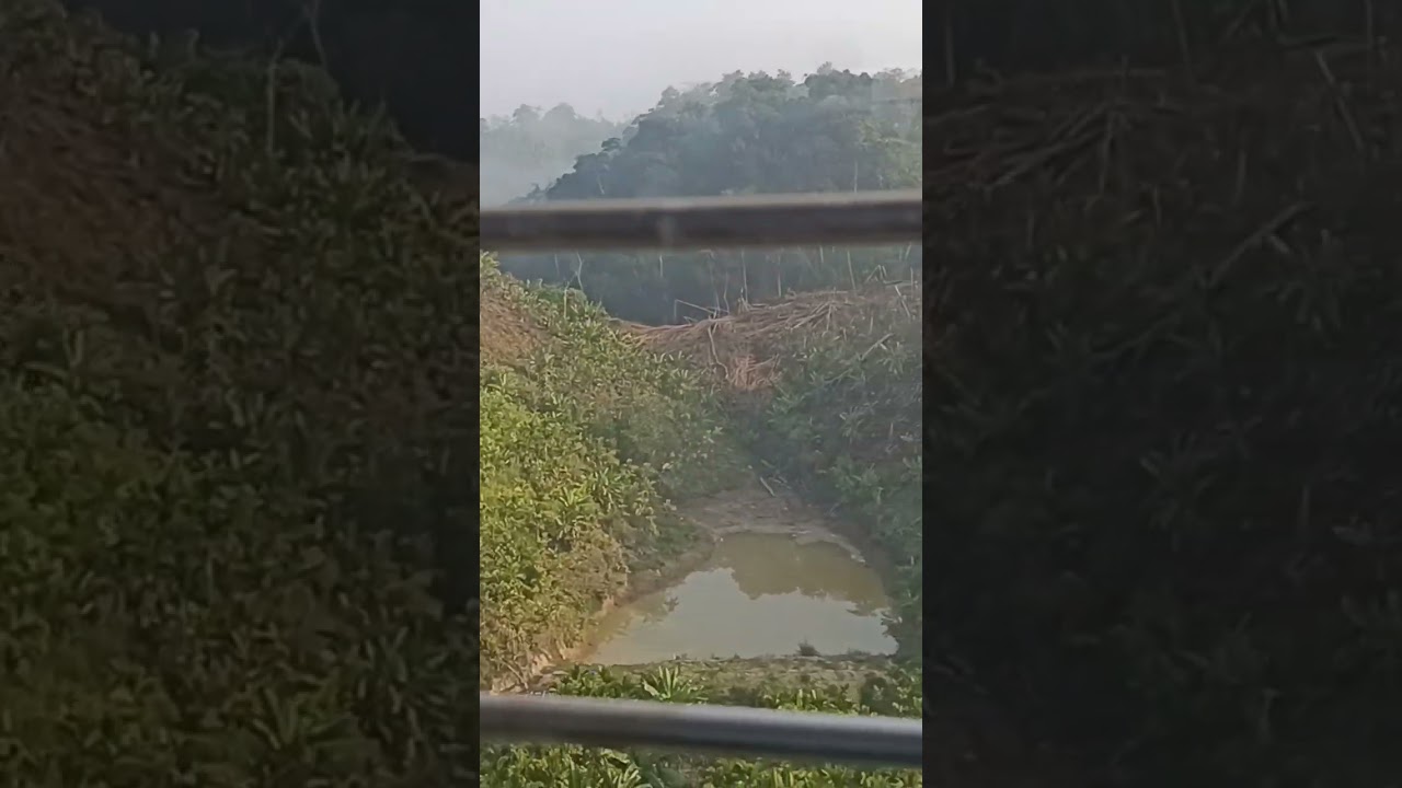 Beautiful hill side journey in the jungle... morning train... pleasant... feeling happyness.. yo yo.