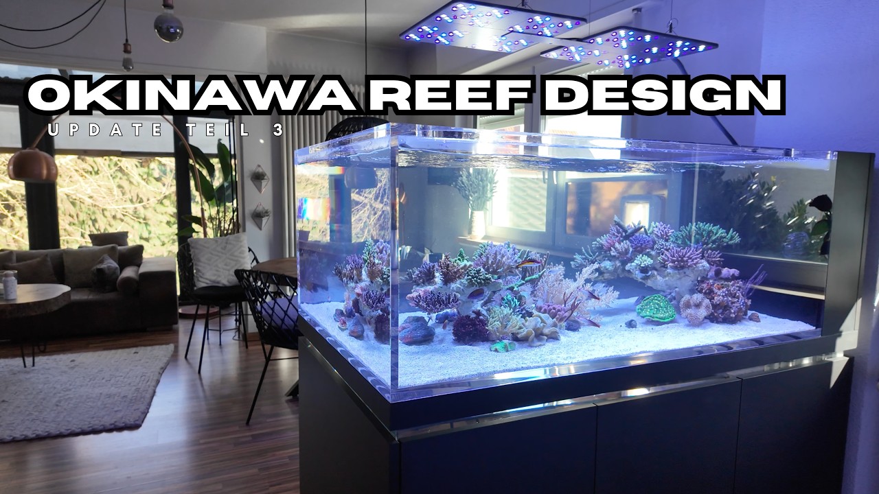 Mein Traumriff im Okinawa Style
