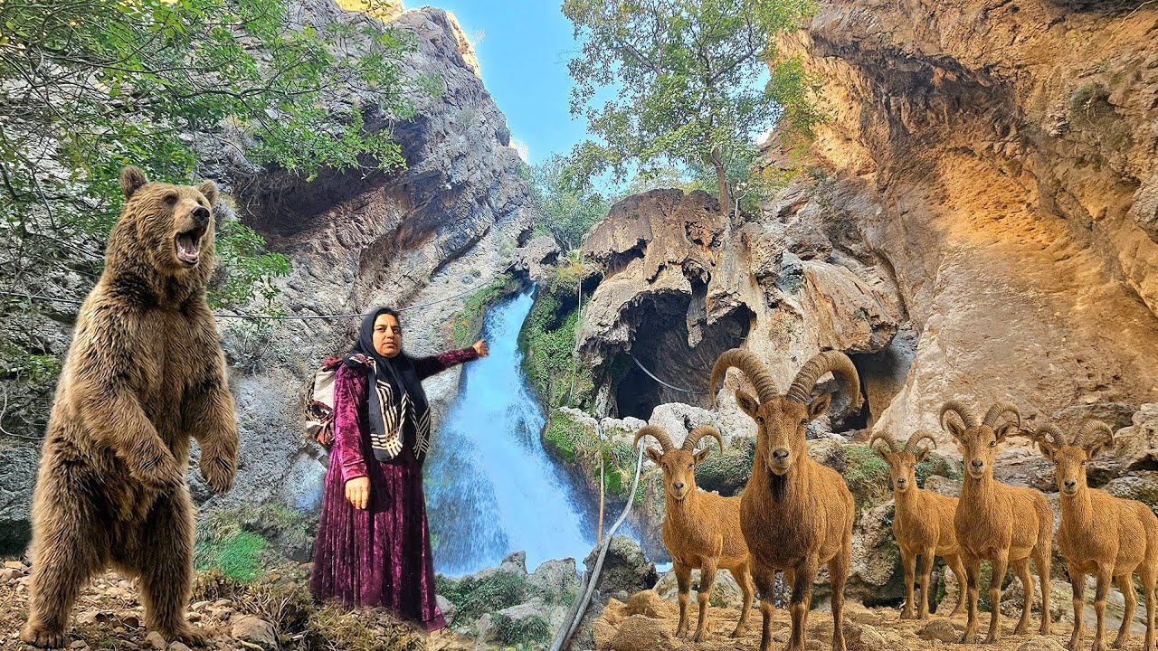 Wild animals suddenly encounter a nomadic woman in the mountains