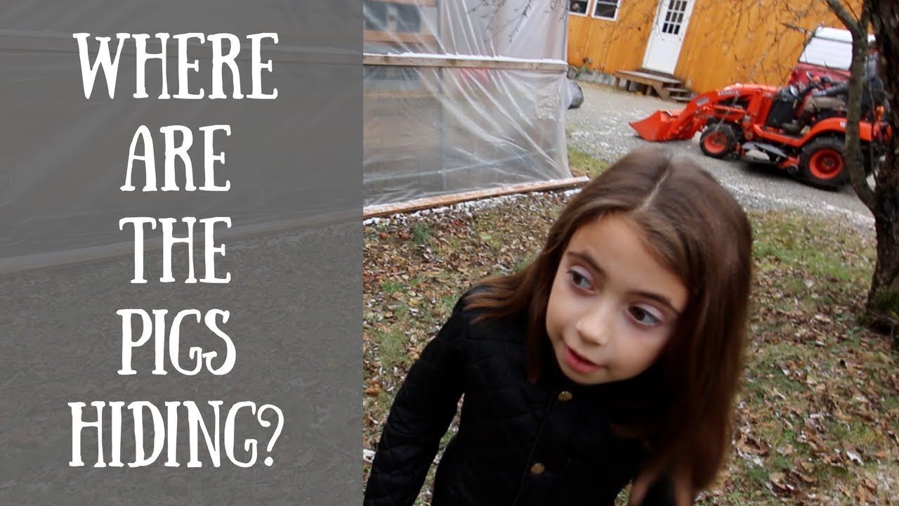 Olivia Names the Winter Piglets | Cold Smoking our Pasture Raised Bacon | Moving New Yolk City