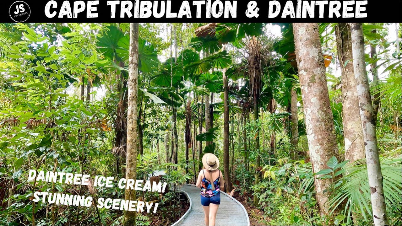Cape Tribulation and Daintree!
