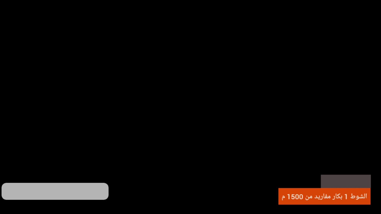 بث مباشر لمهرجان اليتمة  اشواط كأس إمارة المدينة المنورة