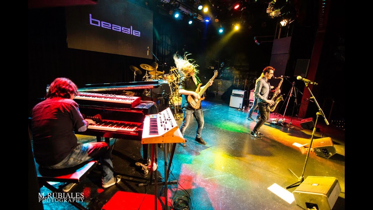 BEAGLE - Show Army (Live at Luz De Gas)