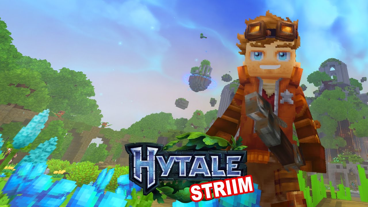 Hytale Server!