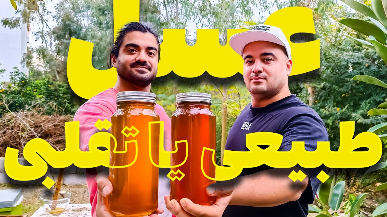 چگونه عسل طبیعی و تقلبی را تشخیص دهیم؟