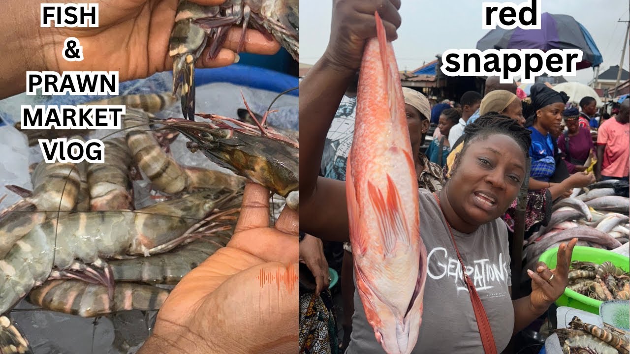 From Hotel Soft Life to 5AM Hustle at Makoko Fish Market 🦐🔥 | You Won’t Believe These Seafood Prices