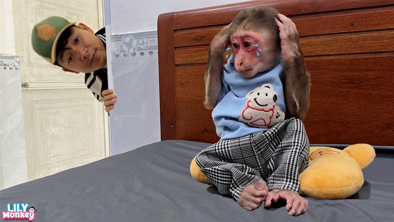 Lily was sad and cried when Dad dropped the food she had prepare | Fullversion