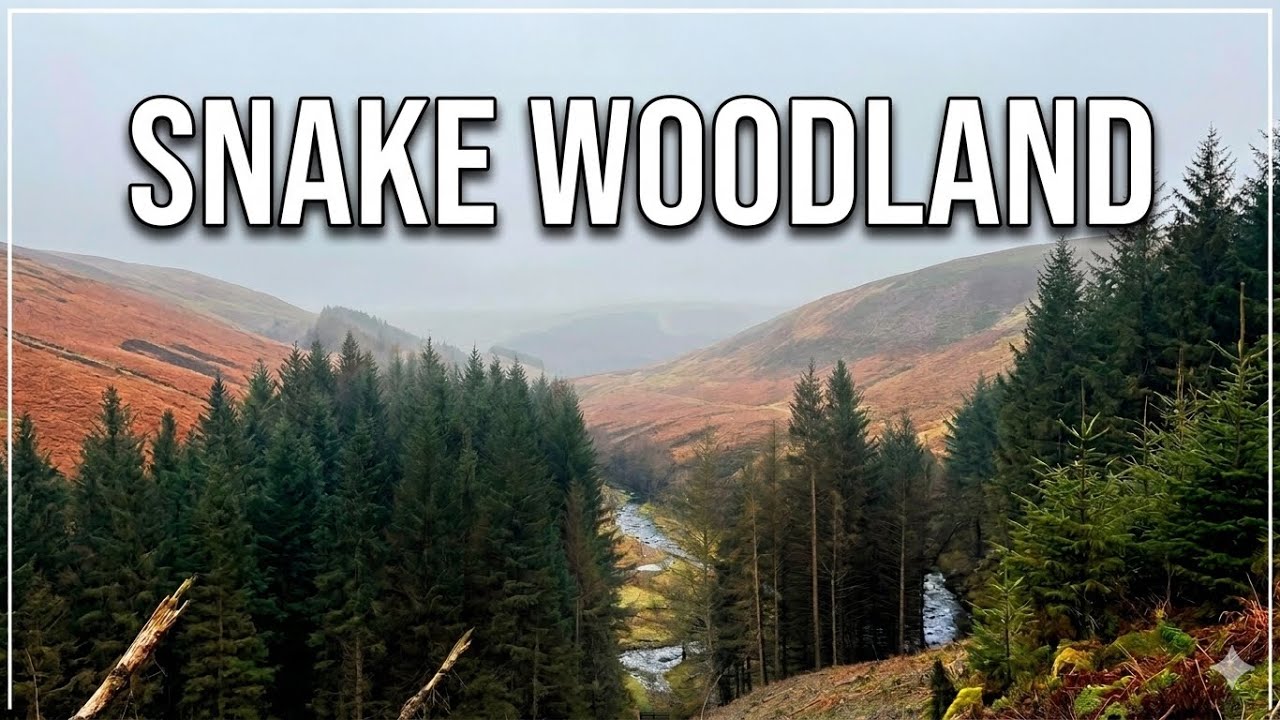 The Hidden Valley: Exploring Snake Woodland