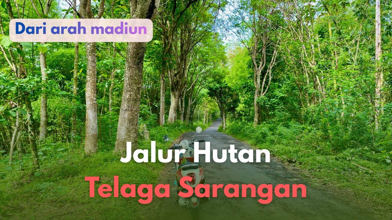 Jalur Madiun - Telaga Sarangan via alternatif || jalur tercepat