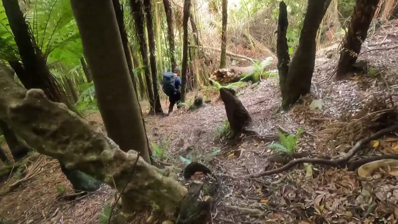 Te Araroa. Day 69-Te Whare o Moturimu to Wild Camp (1534.7)