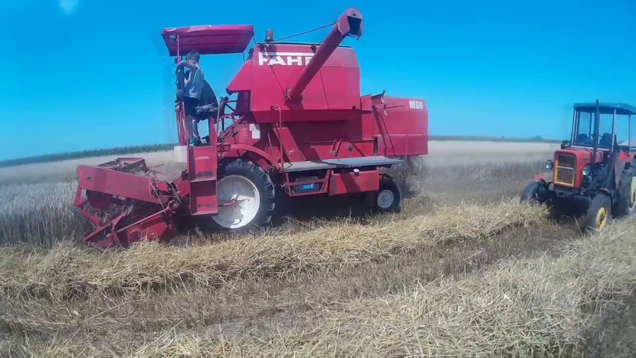 Żniwa 2017 Deutz Fahr m66