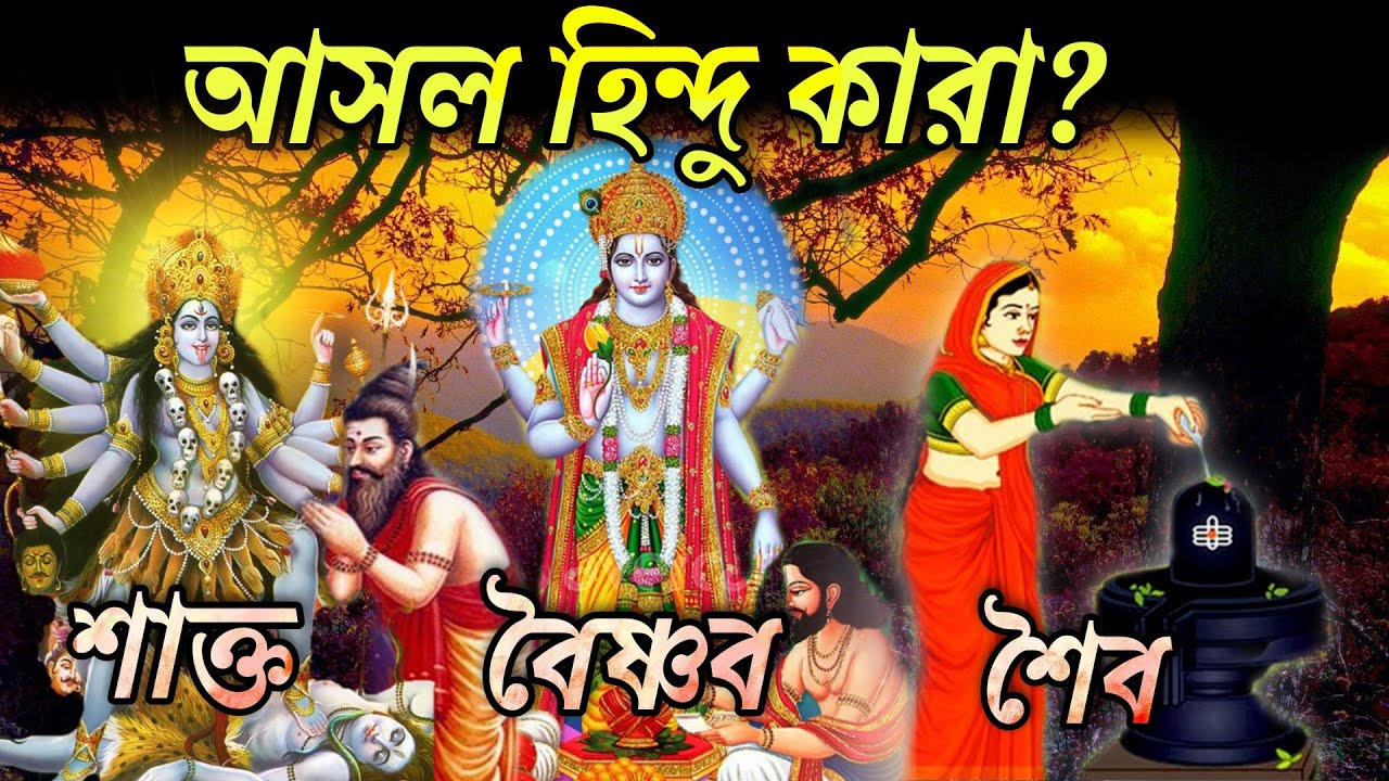 হিন্দু ও সনাতন ধর্মের মধ্যে পার্থক্য কি ? is hinduism a religion ? kaun hai asli hindu ?