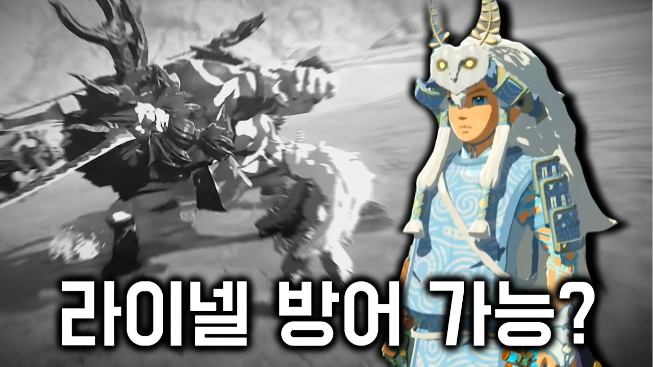 정령 세트입고 맞고 다니기 [젤다 왕눈]