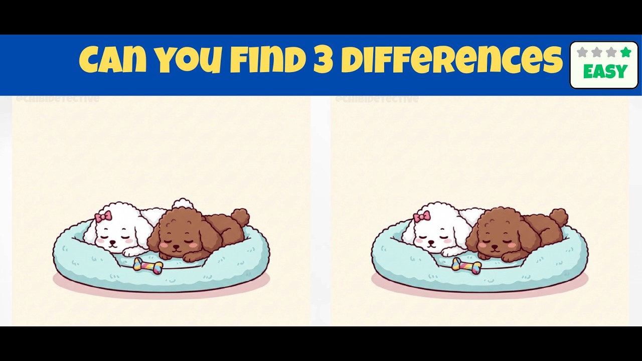 Spot 3 Differences | Brain Exercises  0038