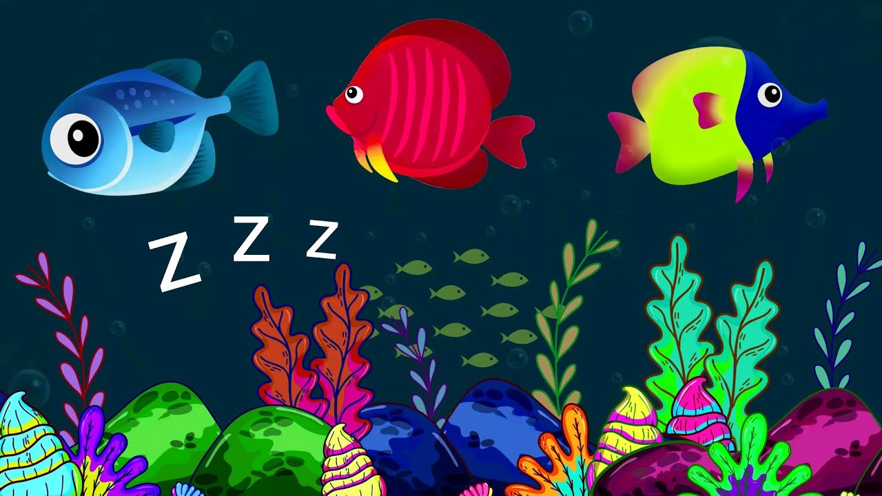 𝗙𝗶𝘀𝗵🐟 | 𝗣𝗲𝗮𝗰𝗲𝗳𝘂𝗹 𝗨𝗻𝗱𝗲𝗿𝘀𝗲𝗮 𝗔𝗻𝗶𝗺𝗮𝘁𝗶𝗼𝗻💤 | 𝗠𝗲𝗱𝗶𝘁𝗮𝘁𝗶𝗼𝗻❤ | 𝗖𝗮𝗹𝗺𝗶𝗻𝗴 𝗨𝗻𝗱𝗲𝗿𝘄𝗮𝘁𝗲𝗿✨