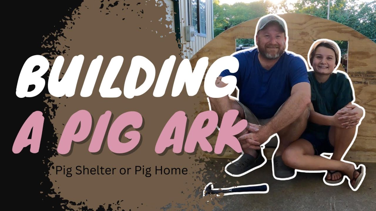 Building a Pig Ark or Pig Shelter