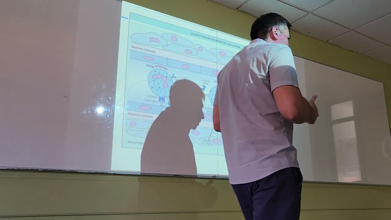 FISIOPATOLOGÍA - Clase 1; parte 3 (06/07)