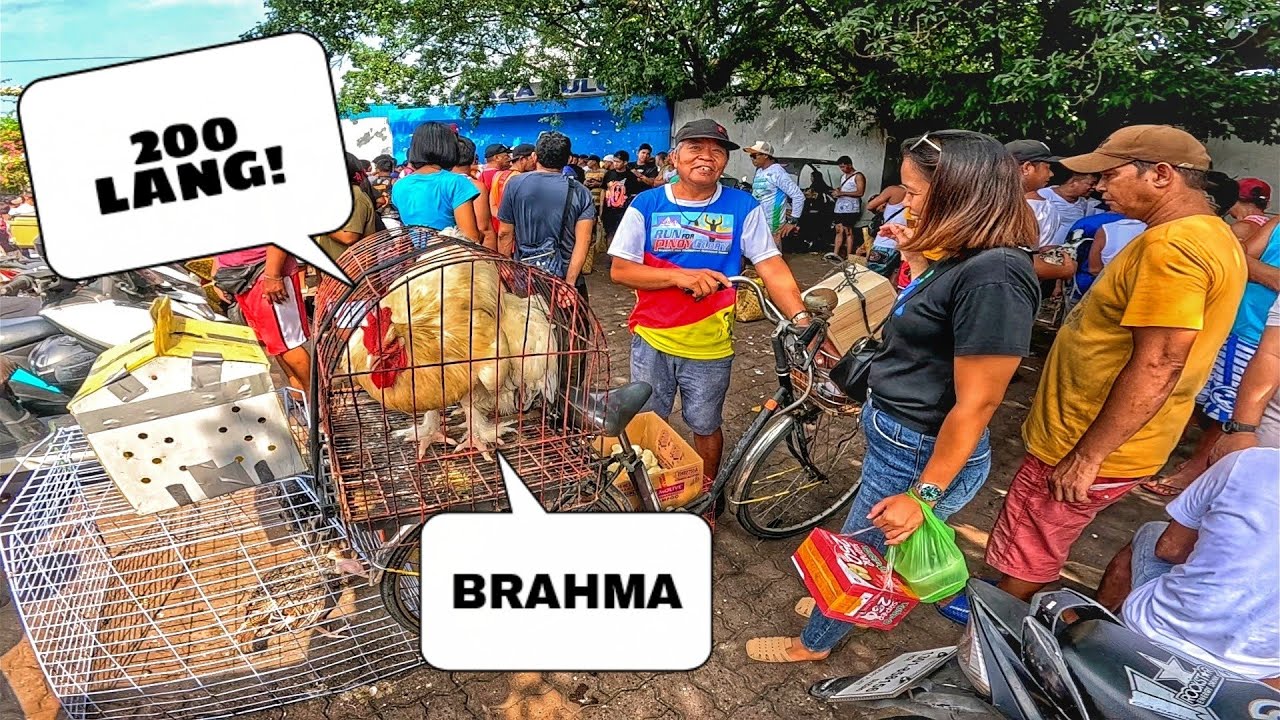 EKSENA SA MALABON JULY 13, 2025 | PET TIANGGE