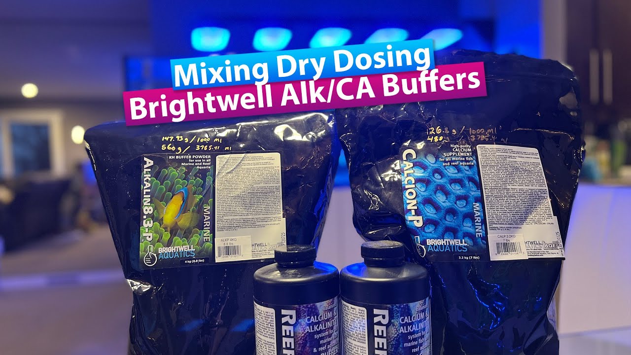 DIY Dosing pump solutions with Brightwell Alkalin8.3-p and Calcion-P