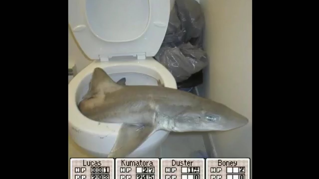 Cursed images but with Mother 3 music