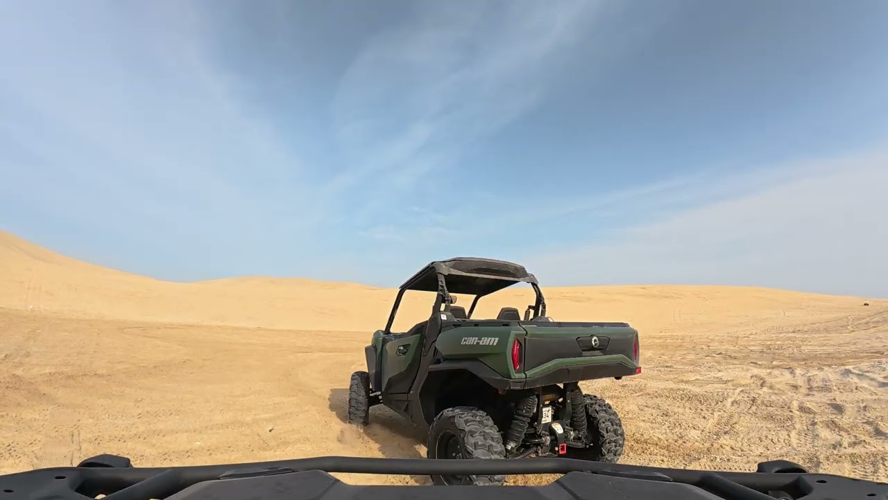 sealine driving