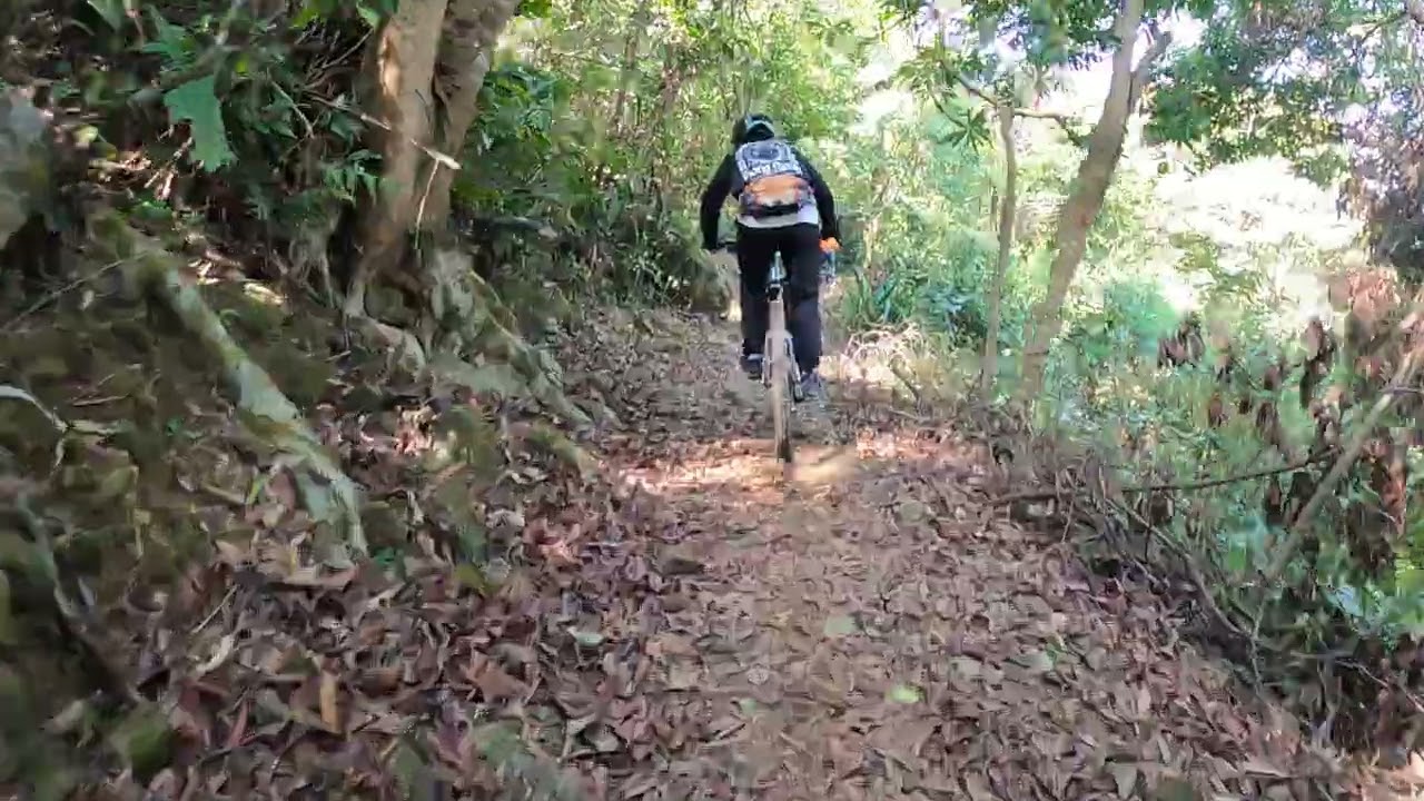 2026 03 08 堅佬新車首航 開心路