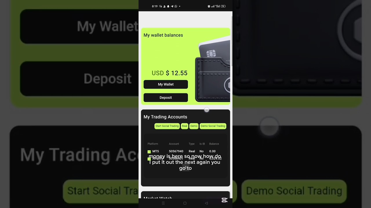 full direction on how to withdraw your daily profits from the Tag market  