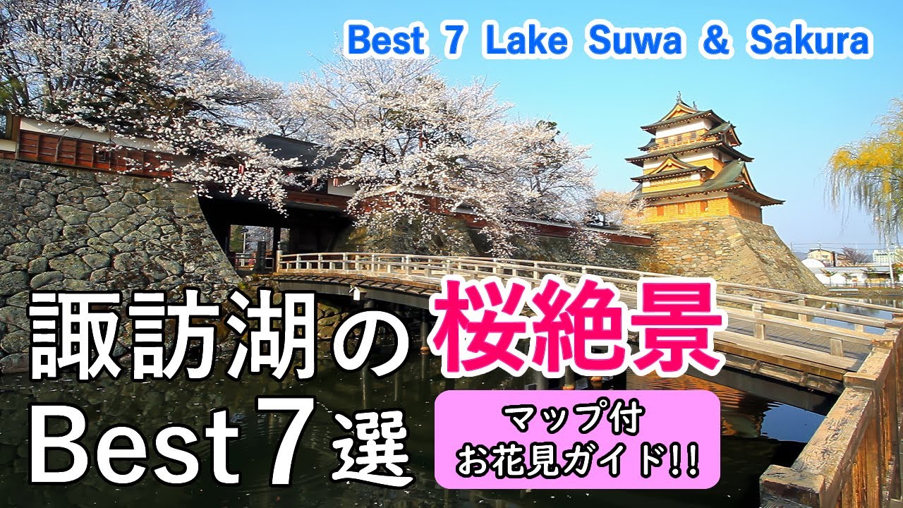 諏訪湖周辺の桜絶景ベスト7選 / 高島城・立石公園・水月公園・岡谷湖畔公園など / Top 7 best cherry blossom viewing spots around Lake Suwa