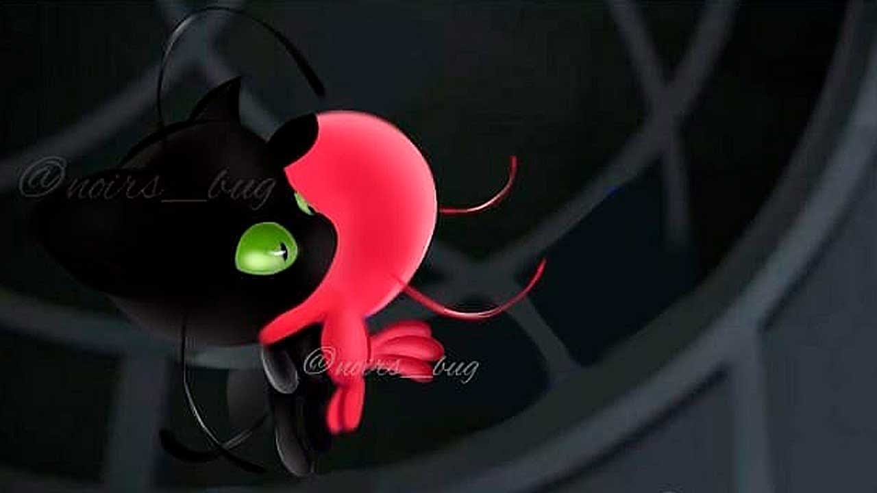 TOP 6 SINAIS DE QUE TIKKI TEM UMA QUEDA PELO PLAGG!! 🐞🐱