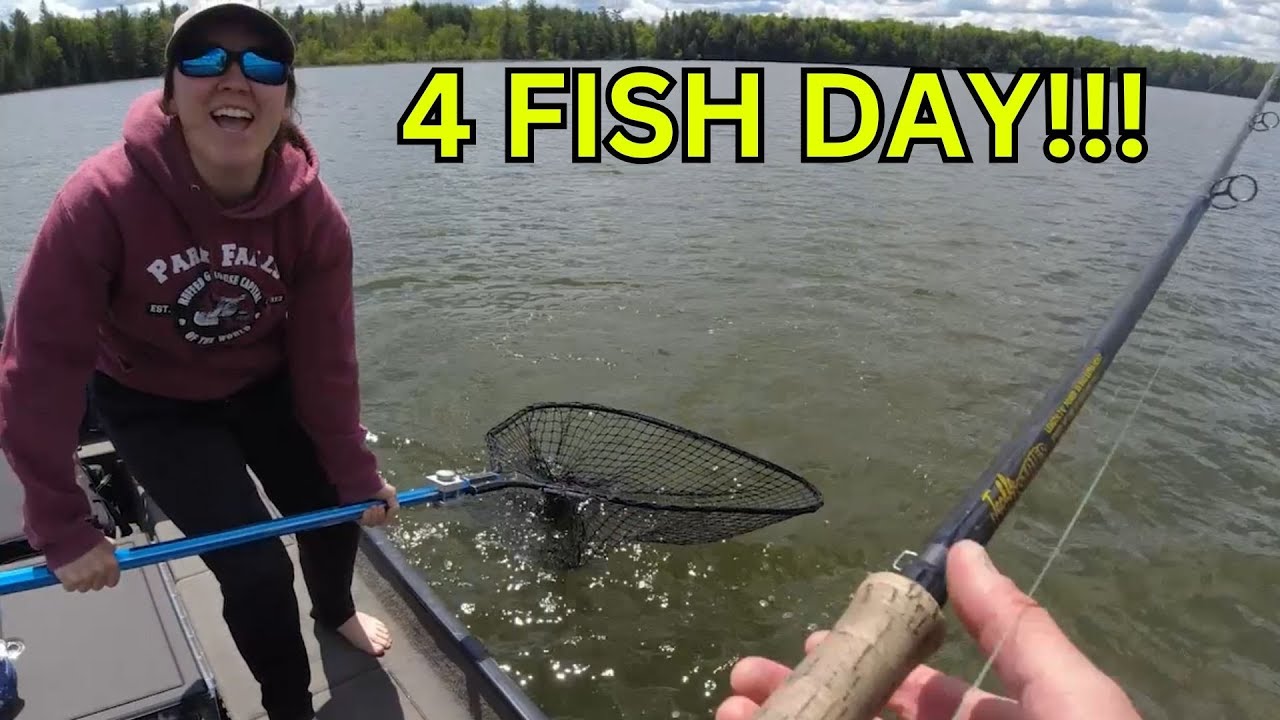 Northern WI MUSKY Opener Success Continues: 4 FISH DAY!