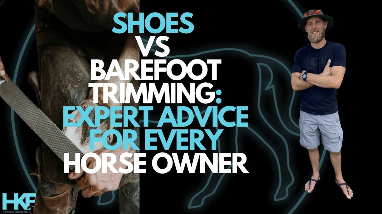 SHOES VS BAREFOOT TRIMMING: Expert Advice For Every Horse Owner