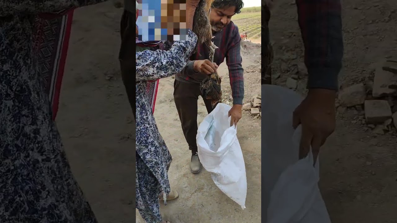 کچھ لوگوں کی خواہشات اتنی چھوٹی ہوتی ہیں کہ ہمیں خود سے شرمندہ کر دیتی ہیں...