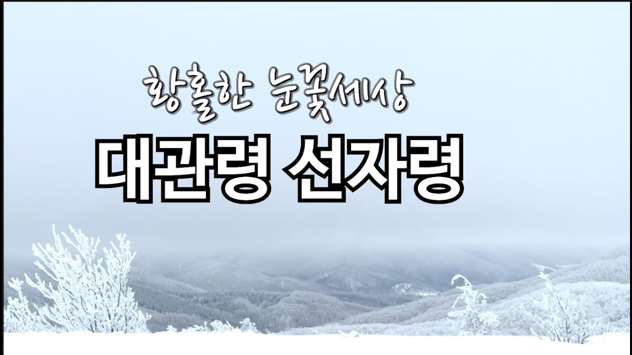 [vlog# 17] ☃4k압도적인 눈이 쌓인 폭설 후 대관령 선자령❄|선자령눈꽃산행|강원도 폭설속 눈꽃산행 |아름다운 눈꽃세상 선자령 |#대관령 #선자령등산로 |강원도 눈꽃 트레킹