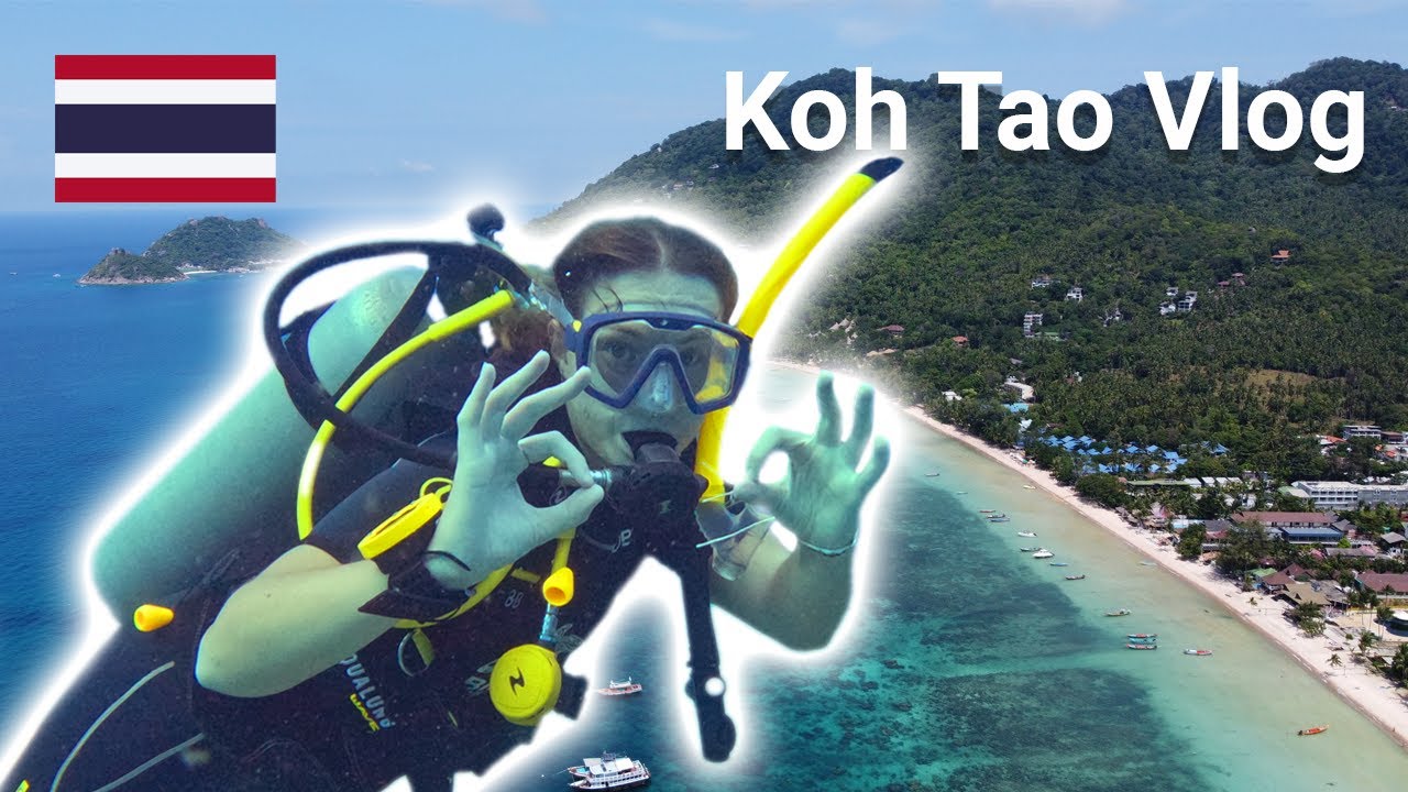 Learning To Scuba Dive in Koh Tao 🇹🇭 And Seeing Sharks And Turtles | Vlog #28